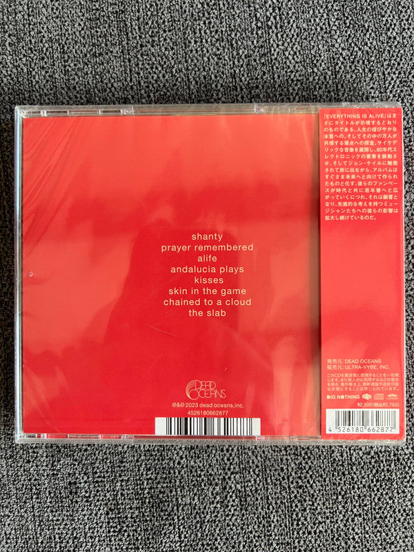 Slowdive : Everything Is Alive (CD)