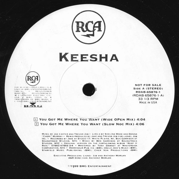 Keesha : You Got Me Where You Want (12")