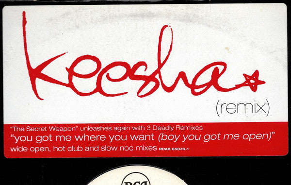 Keesha : You Got Me Where You Want (12")