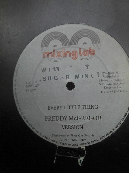 Freddie McGregor : Every Little Thing (12")