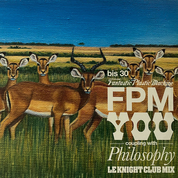Fantastic Plastic Machine : You (12")