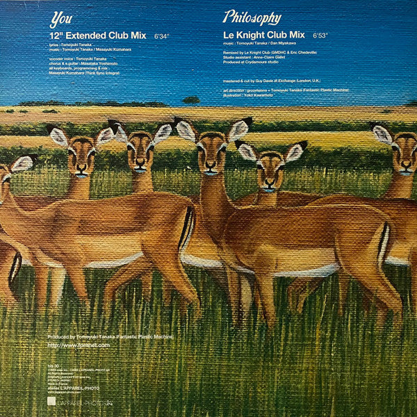 Fantastic Plastic Machine : You (12")