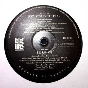 Descriptive image text