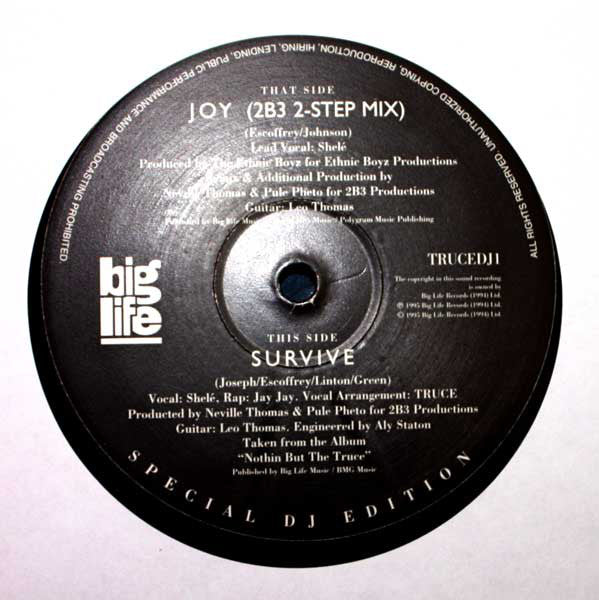 Truce : Joy (12", Ltd, Promo)