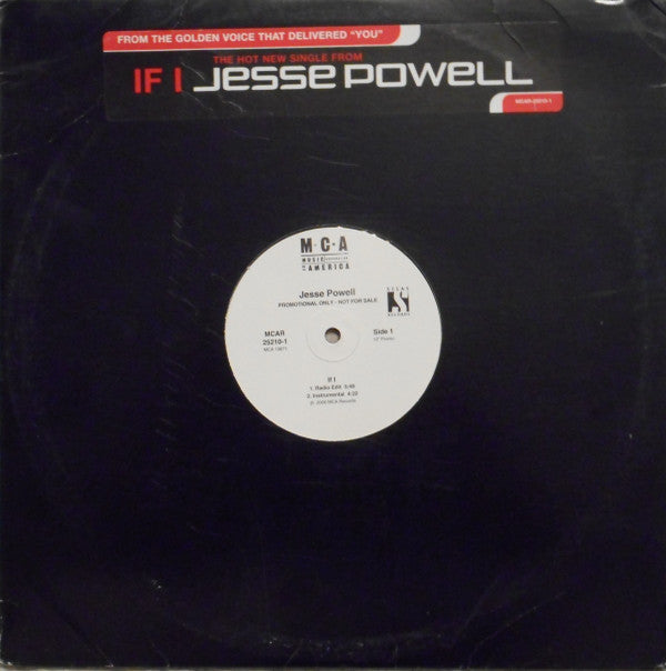 Jesse Powell : If I (12", Promo)