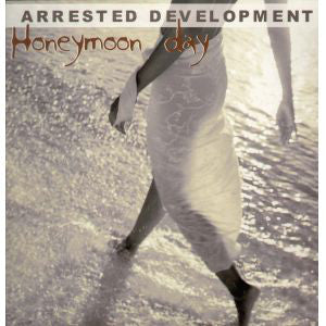 Arrested Development : Honeymoon Day (12")