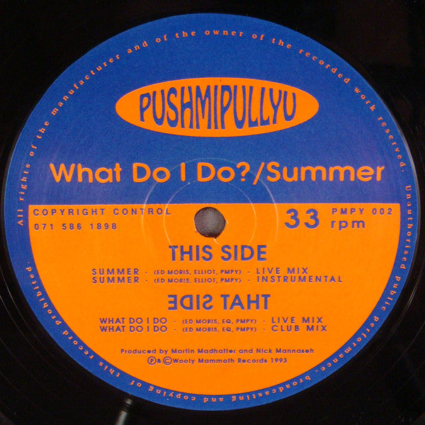 Pushmipullyu : What Do I Do? / Summer (12")