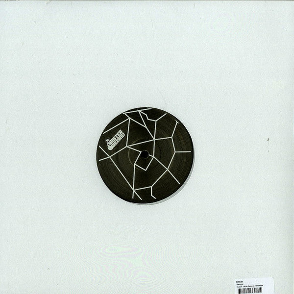 Birdee : Discooo (12")