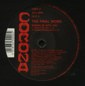 The Final Word : Wanna Be With You (12")