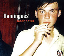 Flamingoes : Scenester (12", Single)