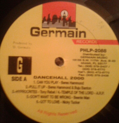 Various : Dancehall 2000 (LP, Comp)