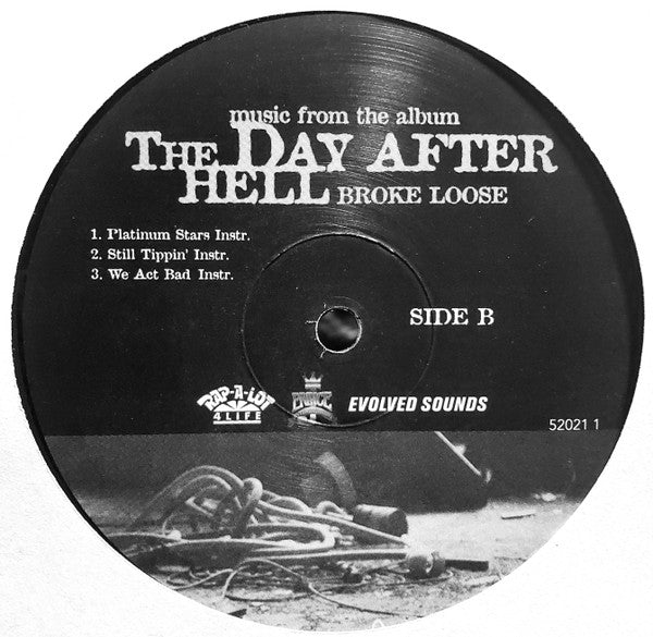 Various : The Day After Hell Broke Loose (12", Smplr)