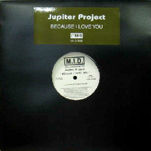 Jupiter Project : Because I Love You (12", Single)