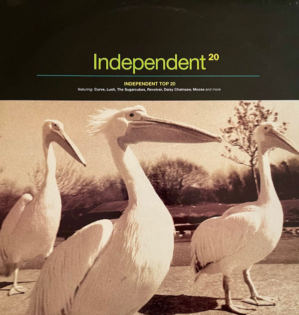 Various : Independent 20 Volume 14 (2xLP, Comp + 12", S/Sided, Ltd)