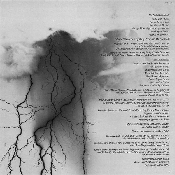 Andy Gibb : After Dark (LP, Album)