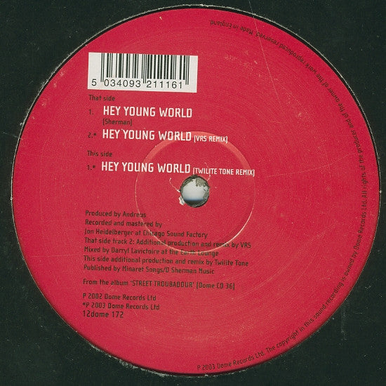 Andreus : Hey Young World (12")