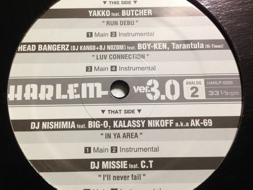 Various : Harlem Ver.3.0 - Analog 2 (12", Comp)