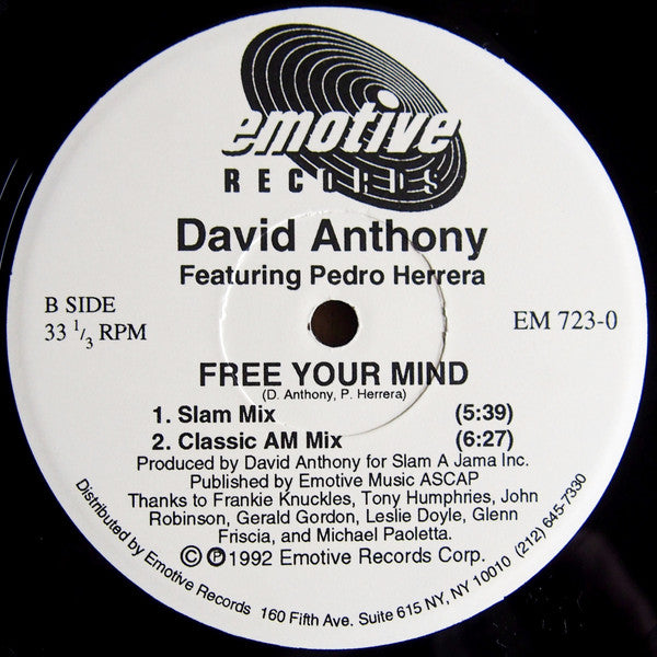 David Anthony Featuring Pedro Herrera : Free Your Mind (12")