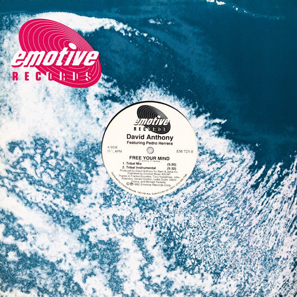 David Anthony Featuring Pedro Herrera : Free Your Mind (12")