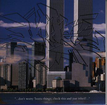 Inheil : ...Don't Worry 'bouta Thingz, Check This And Just Inheil!... (LP, Album)