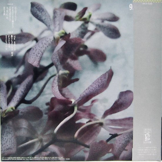 Yosui Inoue : 9.5 Carats (LP, Album)