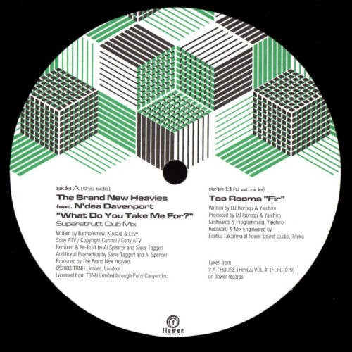 The Brand New Heavies / Too Rooms : What Do You Take Me For? / FIR (12", Single)