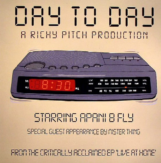 Richy Pitch : Day To Day (12")