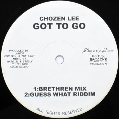 Chozen Lee / Boxer Kid : Got To Go / Born To Die Life To Live (12", Single)