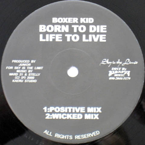 Chozen Lee / Boxer Kid : Got To Go / Born To Die Life To Live (12", Single)