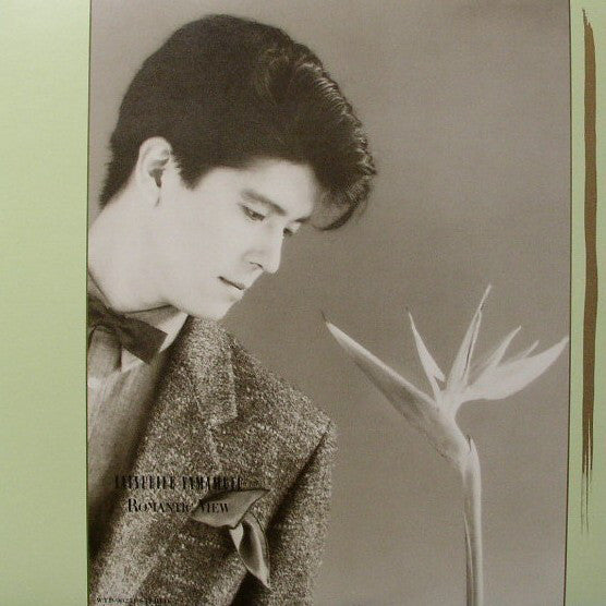 Tatsuhiko Yamamoto : Romantic View = ロマンティック・ビュー (LP, Comp)
