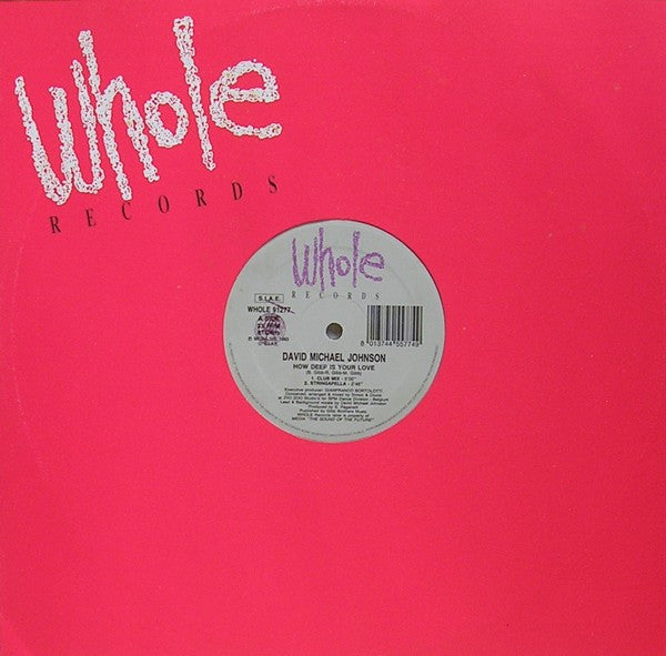 David Michael Johnson : How Deep Is Your Love (12")