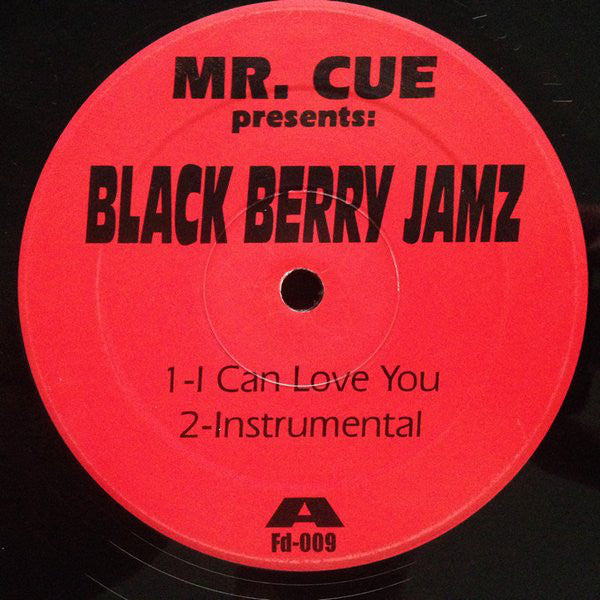 Mr. Cue Presents Black Berry Jamz : I Can Love You (12")