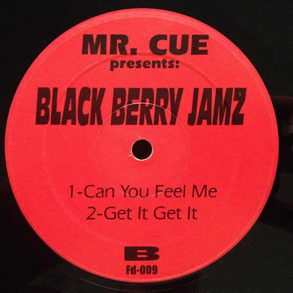 Mr. Cue Presents Black Berry Jamz : I Can Love You (12")