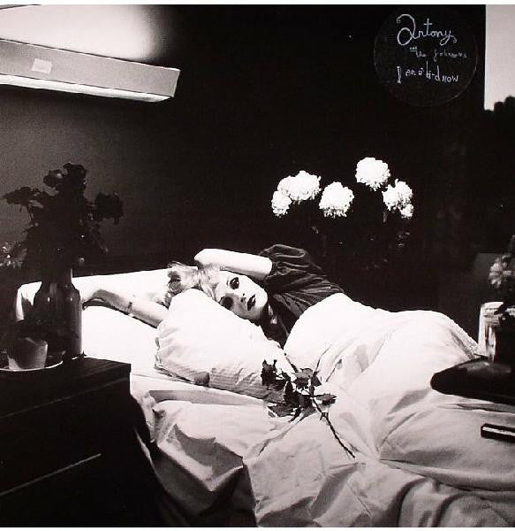 Antony And The Johnsons : I Am A Bird Now (LP, Album)