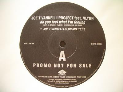 Joe T. Vannelli Project Feat. Vlynn : Do You Feel What I'm Feeling (2x12", Promo)