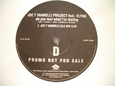 Joe T. Vannelli Project Feat. Vlynn : Do You Feel What I'm Feeling (2x12", Promo)