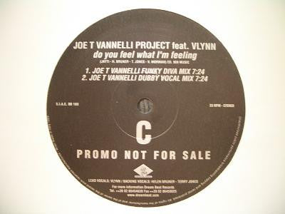 Joe T. Vannelli Project Feat. Vlynn : Do You Feel What I'm Feeling (2x12", Promo)