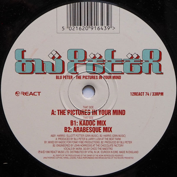 Blu Peter : The Pictures In Your Mind (12")