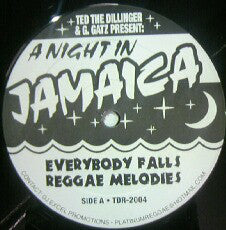 Ted The Dillinger : A Night In Jamaica (12")