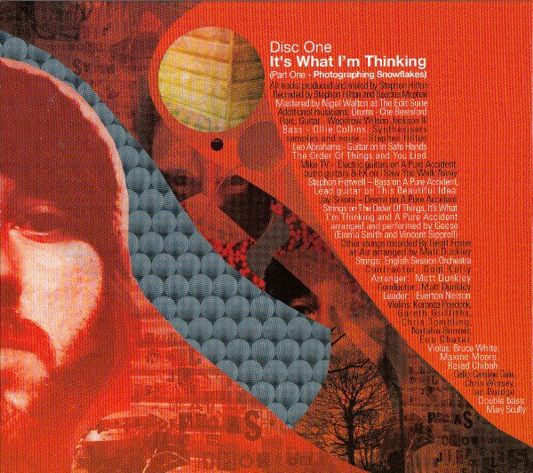 Badly Drawn Boy : It's What I'm Thinking (Part One Photographing Snowflakes) (2xCD, Album, Ltd, P/Mixed)
