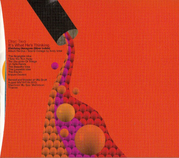 Badly Drawn Boy : It's What I'm Thinking (Part One Photographing Snowflakes) (2xCD, Album, Ltd, P/Mixed)