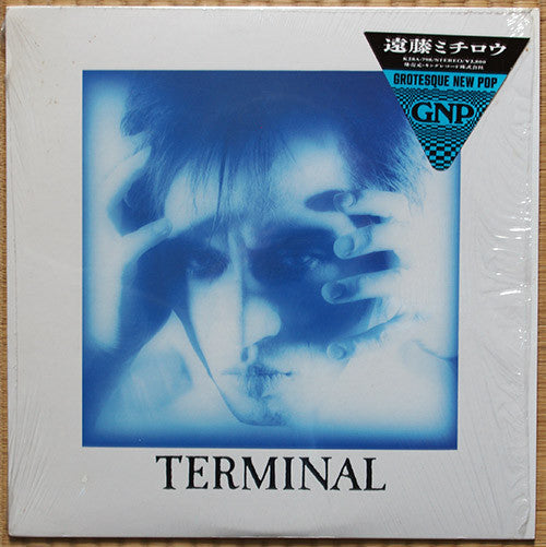 Michiro Endo : Terminal (LP, Album)