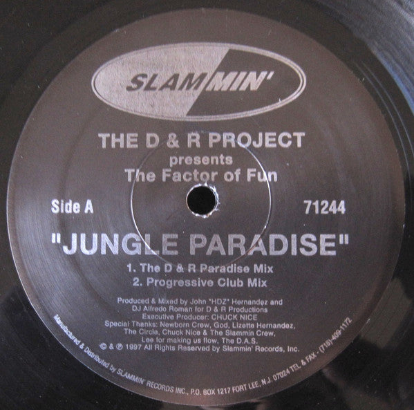 The D & R Project Presents The Factor Of Fun : Jungle Paradise (12")