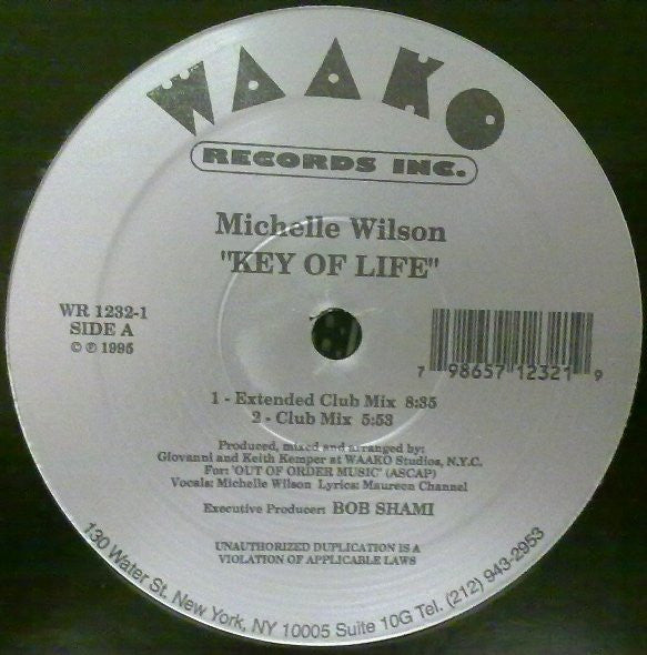 Michelle Wilson : Key Of Life (12")