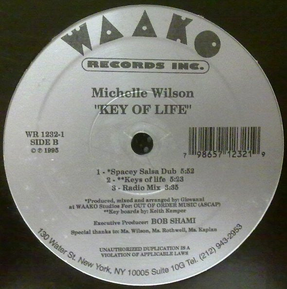Michelle Wilson : Key Of Life (12")