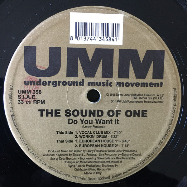 The Sound Of One : Do You Want It (12")