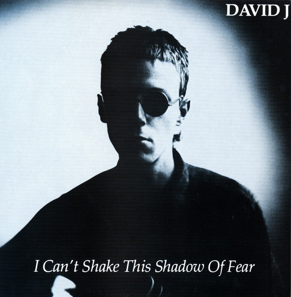 David J : I Can't Shake This Shadow Of Fear (12", Single)
