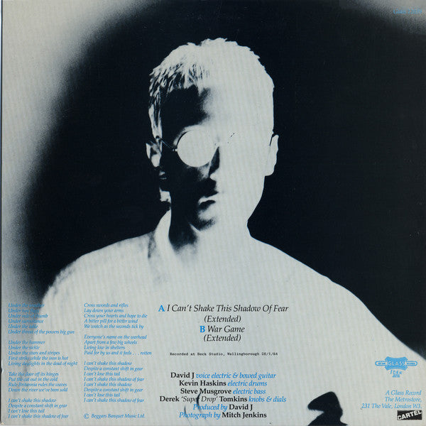 David J : I Can't Shake This Shadow Of Fear (12", Single)