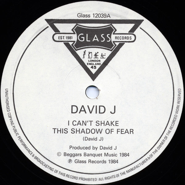 David J : I Can't Shake This Shadow Of Fear (12", Single)