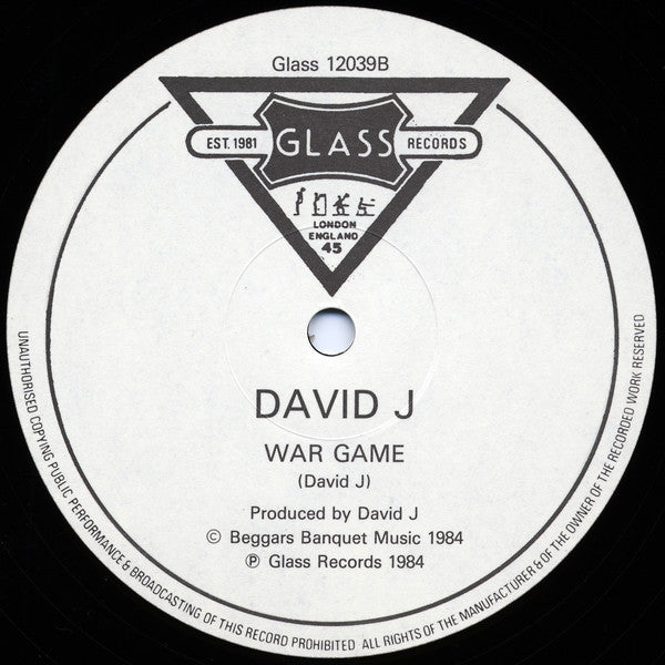 David J : I Can't Shake This Shadow Of Fear (12", Single)